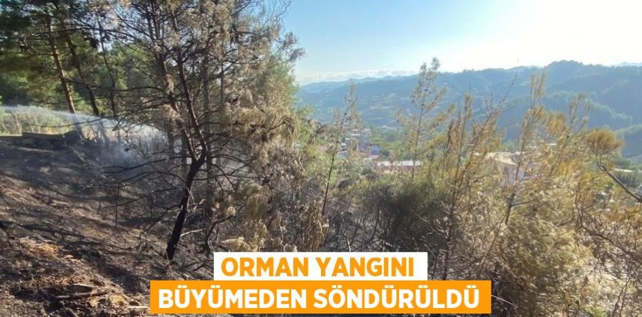 ORMAN YANGINI BÜYÜMEDEN SÖNDÜRÜLDÜ