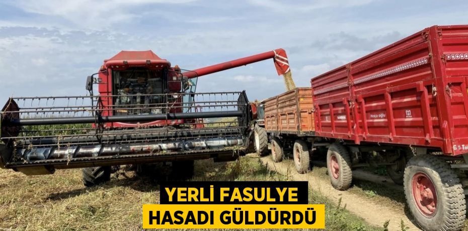 YERLİ FASULYE HASADI GÜLDÜRDÜ