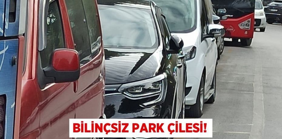 BİLİNÇSİZ PARK ÇİLESİ!