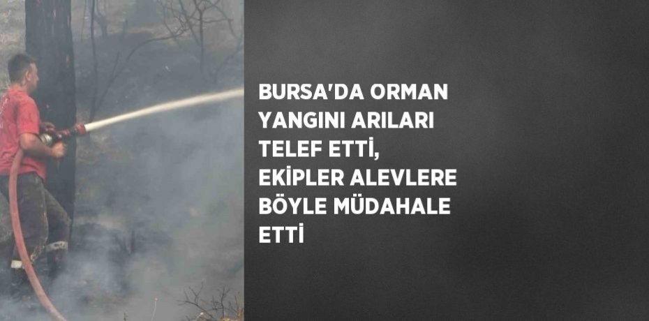 BURSA’DA ORMAN YANGINI ARILARI TELEF ETTİ, EKİPLER ALEVLERE BÖYLE MÜDAHALE ETTİ