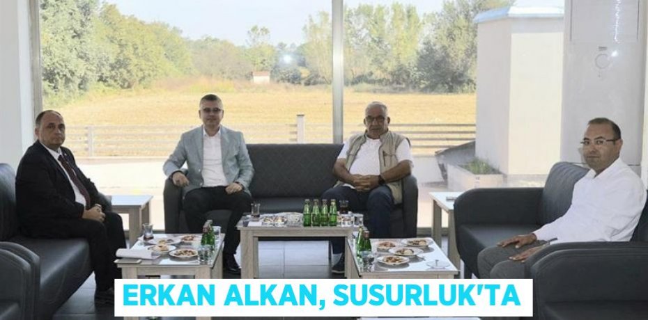 Erkan Alkan, Susurluk'ta