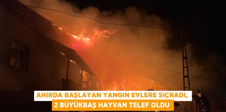 AHIRDA BAŞLAYAN YANGIN EVLERE SIÇRADI, 2 BÜYÜKBAŞ HAYVAN TELEF OLDU