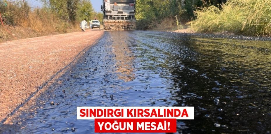SINDIRGI KIRSALINDA YOĞUN MESAİ!