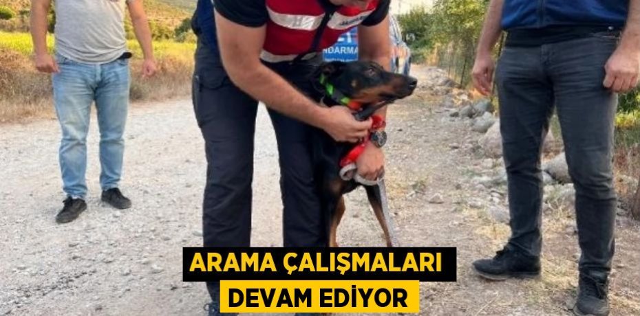 Arama çalışmaları devam ediyor