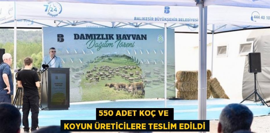 550 Adet Koç ve Koyun üreticilere teslim edildi