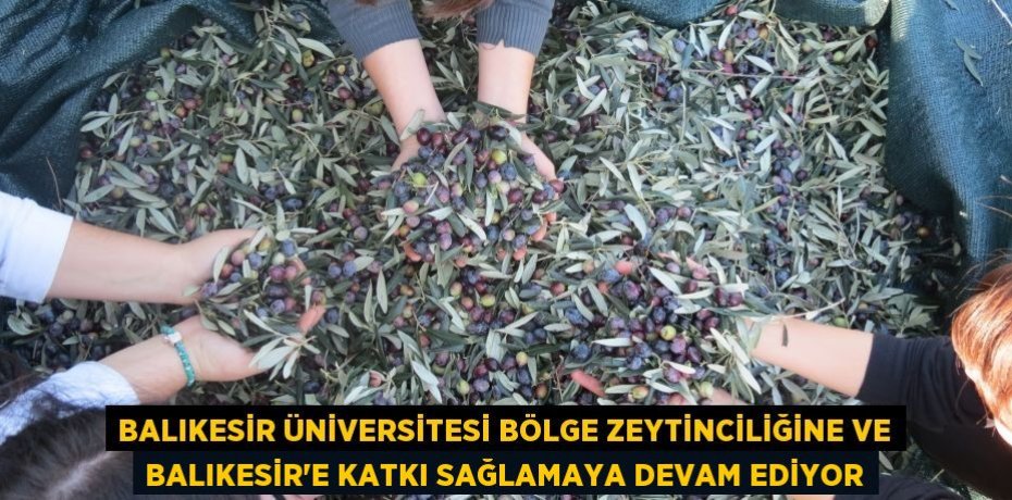 Balıkesir Üniversitesi Bölge Zeytinciliğine ve Balıkesir’e Katkı Sağlamaya Devam Ediyor