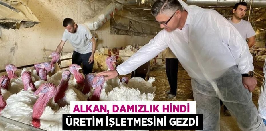 Alkan, Damızlık Hindi Üretim İşletmesini gezdi