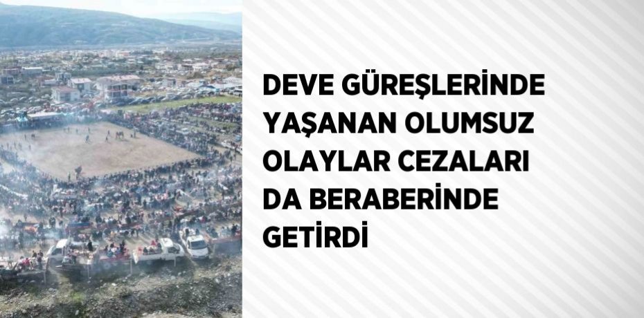 DEVE GÜREŞLERİNDE YAŞANAN OLUMSUZ OLAYLAR CEZALARI DA BERABERİNDE GETİRDİ
