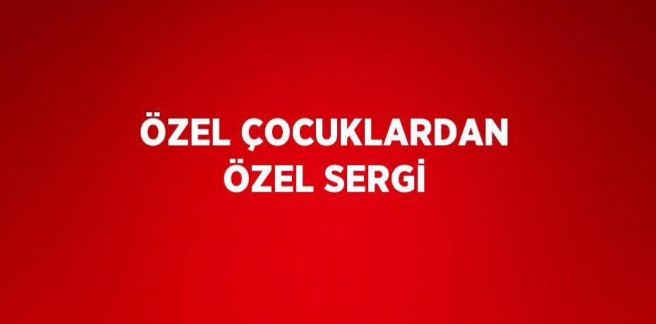 ÖZEL ÇOCUKLARDAN ÖZEL SERGİ