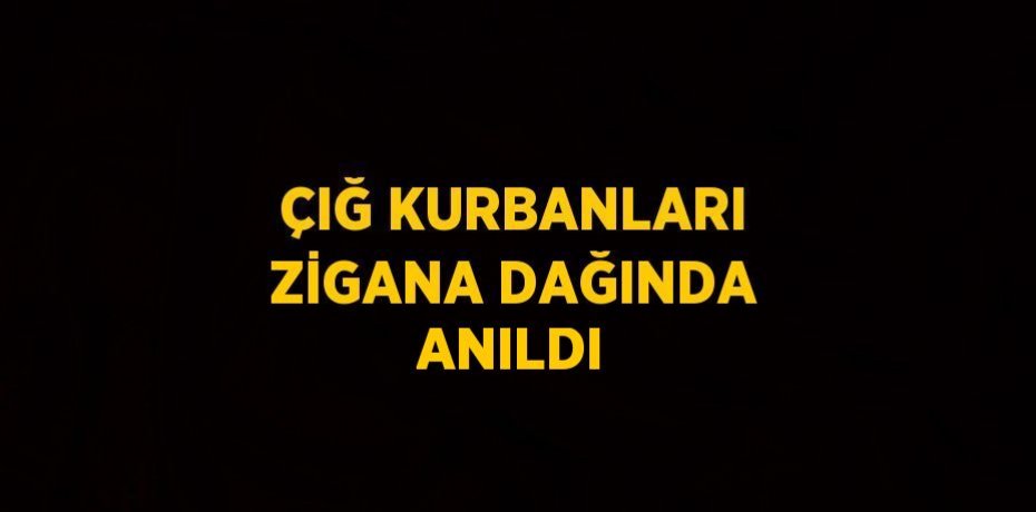 ÇIĞ KURBANLARI ZİGANA DAĞINDA ANILDI
