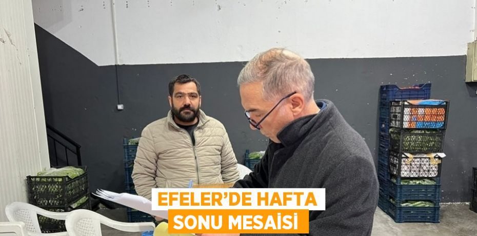 EFELER’DE HAFTA SONU MESAİSİ