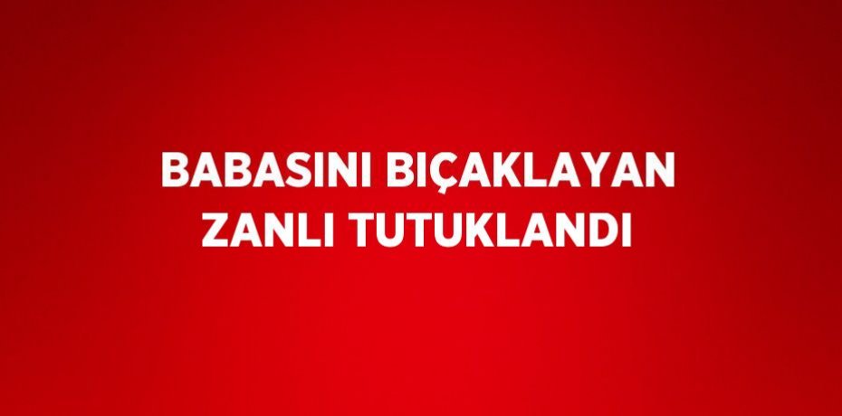 BABASINI BIÇAKLAYAN ZANLI TUTUKLANDI