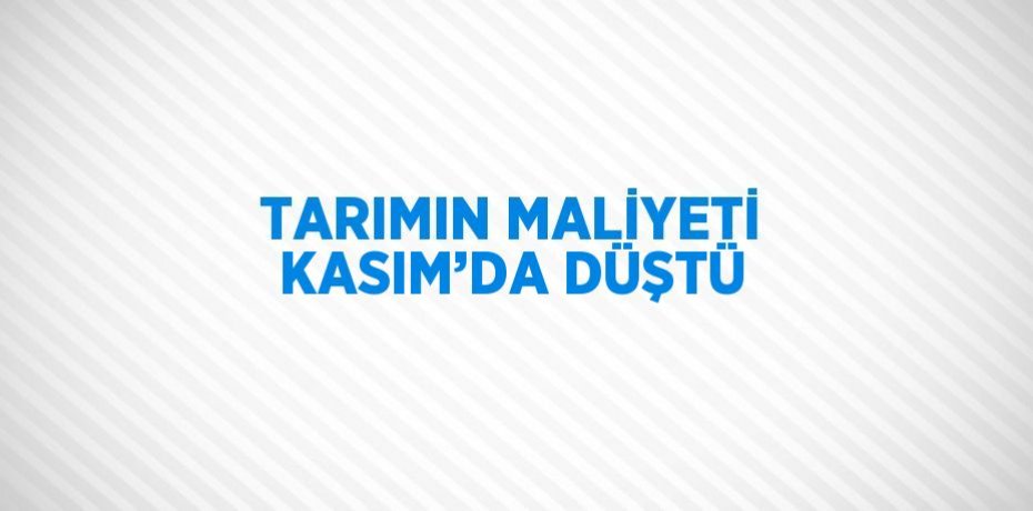TARIMIN MALİYETİ KASIM’DA DÜŞTÜ