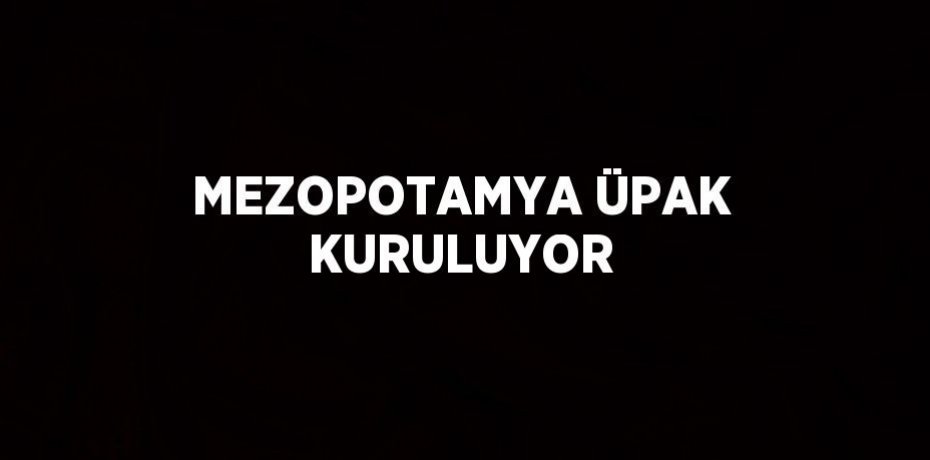 MEZOPOTAMYA ÜPAK KURULUYOR