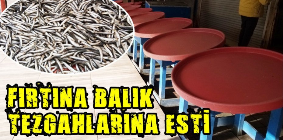 Fırtına balık tezgahlarına esti