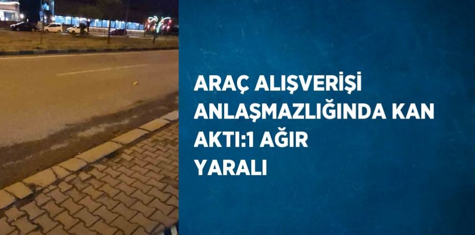 ARAÇ ALIŞVERİŞİ ANLAŞMAZLIĞINDA KAN AKTI:1 AĞIR YARALI