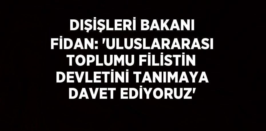 DIŞİŞLERİ BAKANI FİDAN: 'ULUSLARARASI TOPLUMU FİLİSTİN DEVLETİNİ TANIMAYA DAVET EDİYORUZ'