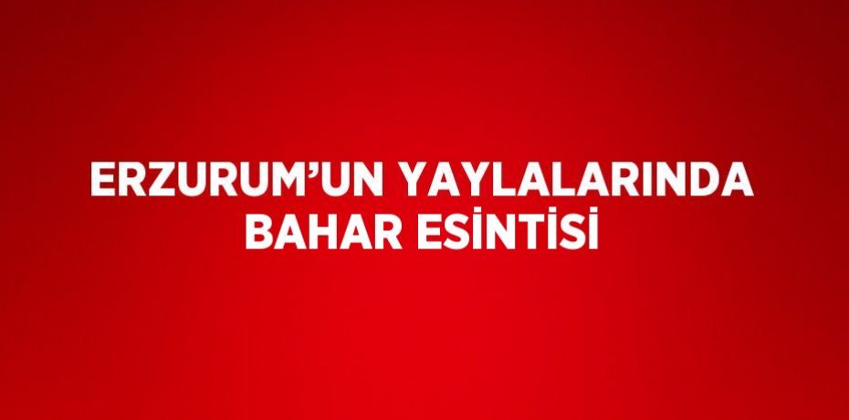 ERZURUM’UN YAYLALARINDA BAHAR ESİNTİSİ