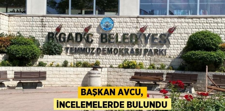 Başkan Avcu, incelemelerde bulundu