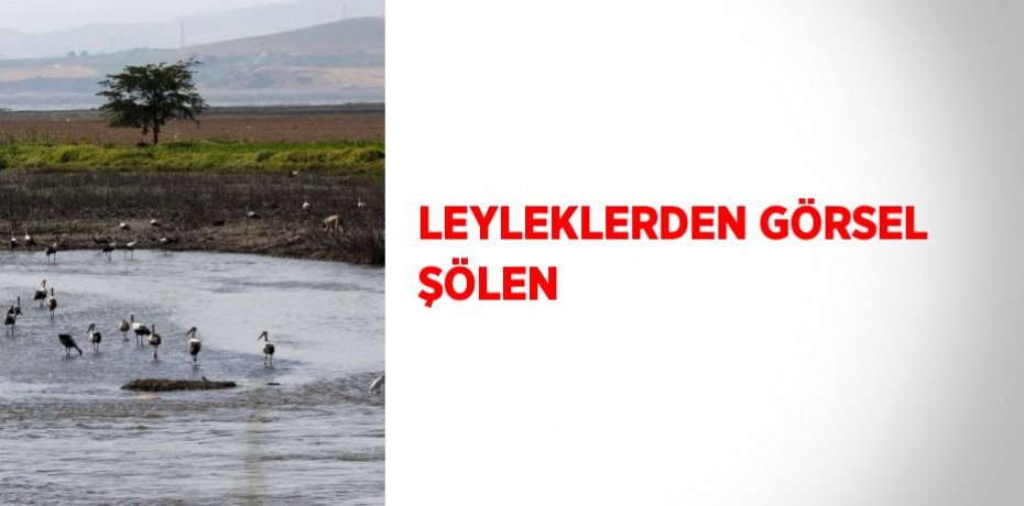 LEYLEKLERDEN GÖRSEL ŞÖLEN