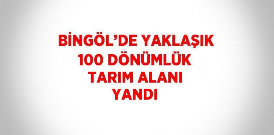 BİNGÖL’DE YAKLAŞIK 100 DÖNÜMLÜK TARIM ALANI YANDI