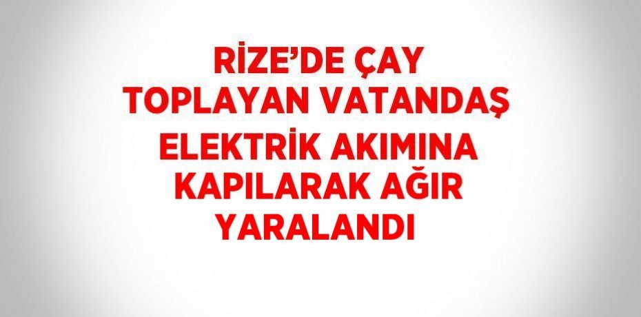 RİZE’DE ÇAY TOPLAYAN VATANDAŞ ELEKTRİK AKIMINA KAPILARAK AĞIR YARALANDI