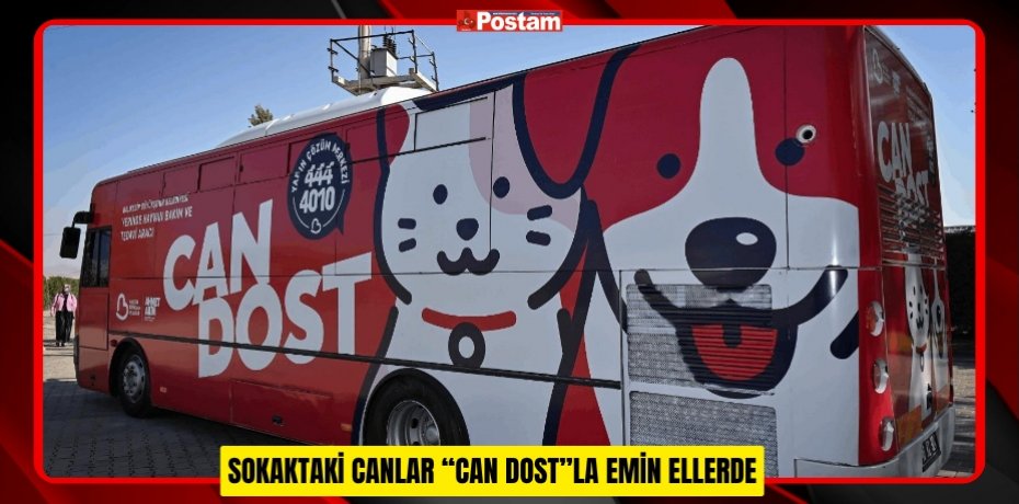 SOKAKTAKİ CANLAR “CAN DOST”LA EMİN ELLERDE