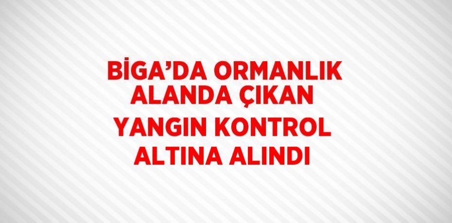 BİGA’DA ORMANLIK ALANDA ÇIKAN YANGIN KONTROL ALTINA ALINDI
