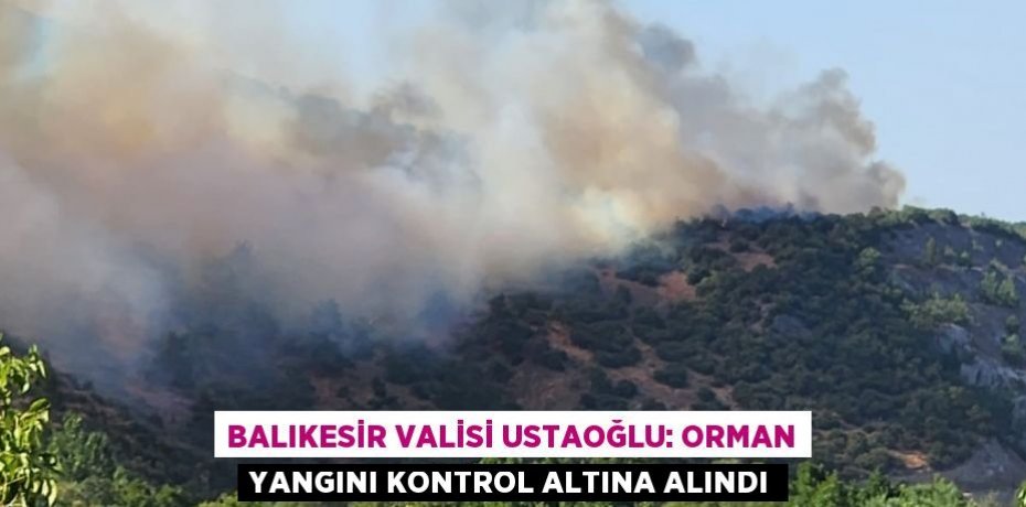 Balıkesir Valisi Ustaoğlu: Orman yangını kontrol altına alındı