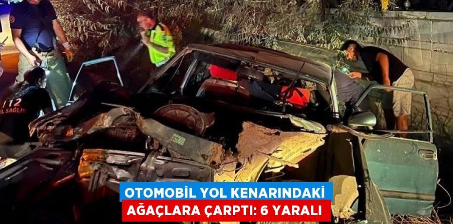 Otomobil yol kenarındaki ağaçlara çarptı: 6 yaralı