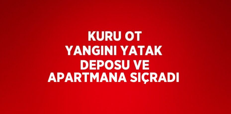 KURU OT YANGINI YATAK DEPOSU VE APARTMANA SIÇRADI
