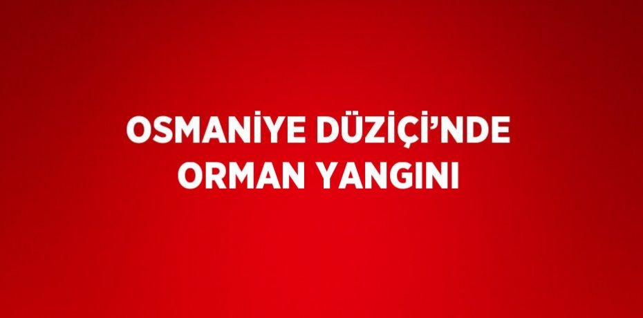 OSMANİYE DÜZİÇİ’NDE ORMAN YANGINI