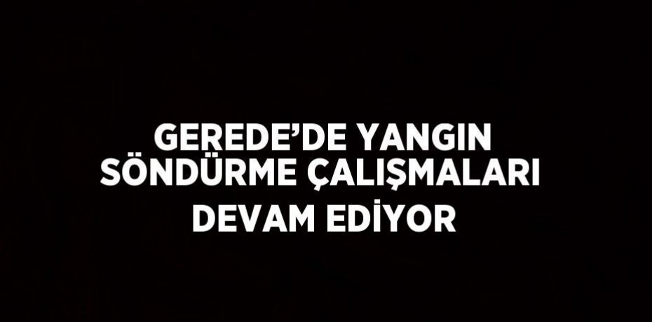 GEREDE’DE YANGIN SÖNDÜRME ÇALIŞMALARI DEVAM EDİYOR