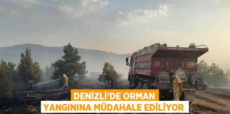 DENİZLİ’DE ORMAN YANGININA MÜDAHALE EDİLİYOR