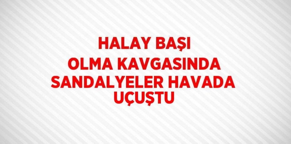 HALAY BAŞI OLMA KAVGASINDA SANDALYELER HAVADA UÇUŞTU