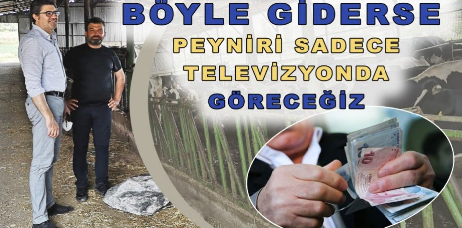 BÖYLE GİDERSE PEYNİRİ SADECE TELEVİZYONDA GÖRECEĞİZ