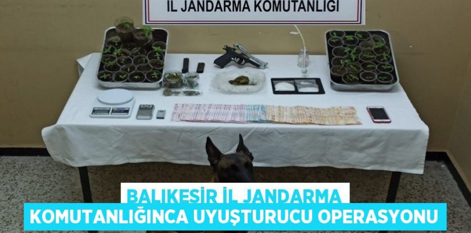 Balıkesir İl Jandarma Komutanlığınca uyuşturucu operasyonu