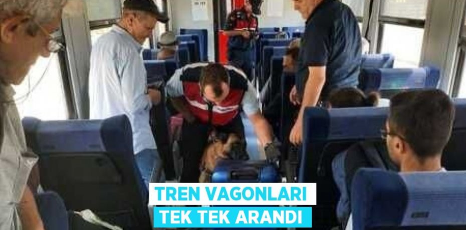 Tren vagonları tek tek arandı