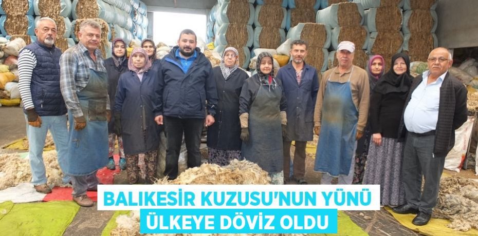 BALIKESİR KUZUSU’NUN YÜNÜ ÜLKEYE DÖVİZ OLDU