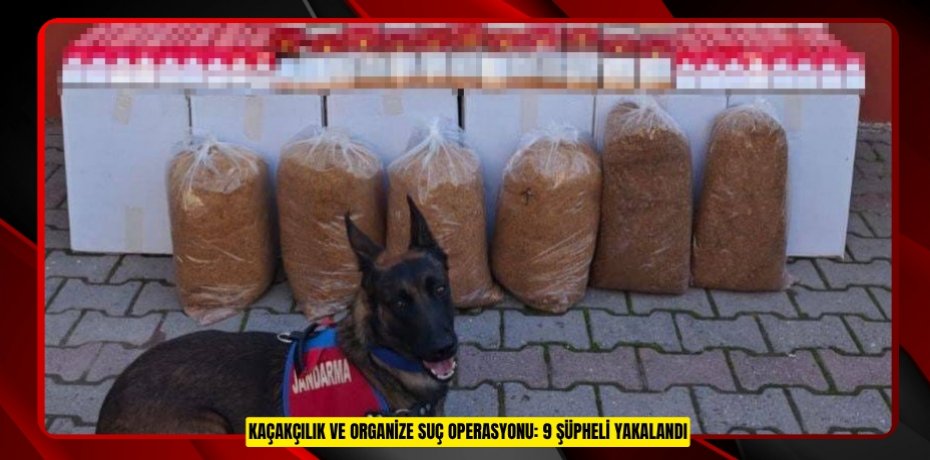 Kaçakçılık ve organize suç operasyonu: 9 şüpheli yakalandı