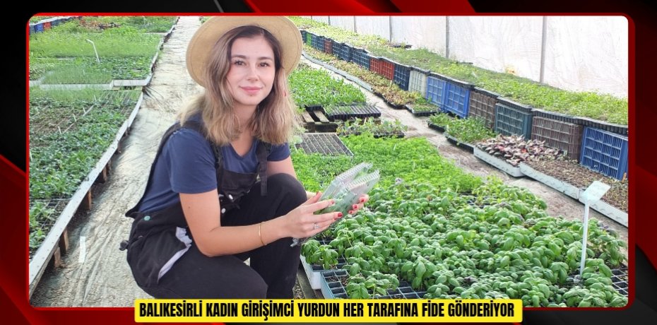 Balıkesirli kadın girişimci yurdun her tarafına fide gönderiyor  