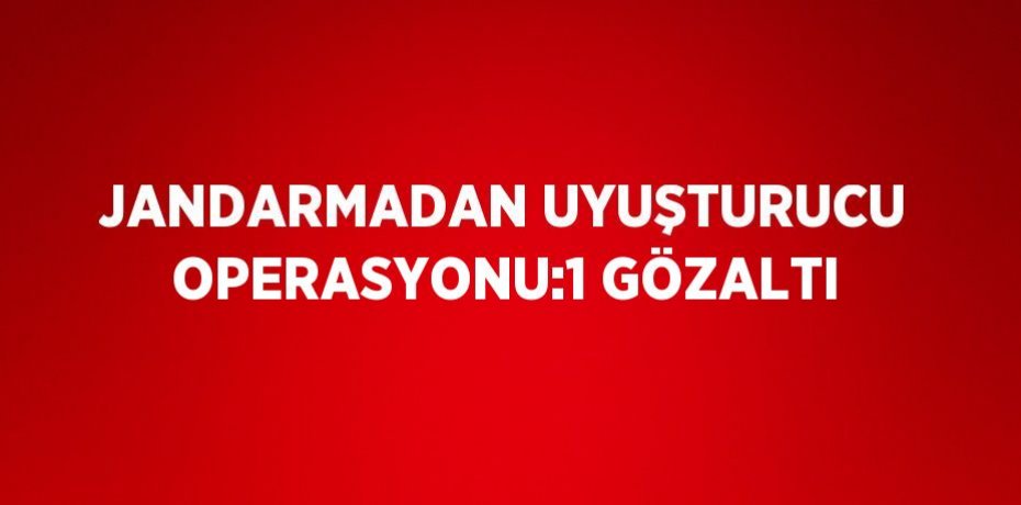 JANDARMADAN UYUŞTURUCU OPERASYONU:1 GÖZALTI