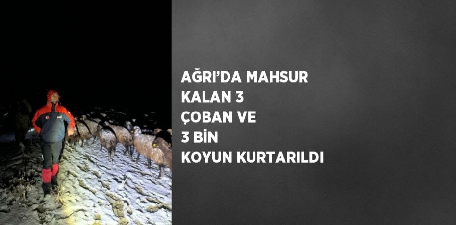 AĞRI’DA MAHSUR KALAN 3 ÇOBAN VE 3 BİN KOYUN KURTARILDI