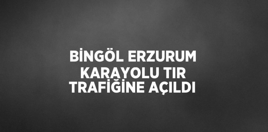 BİNGÖL ERZURUM KARAYOLU TIR TRAFİĞİNE AÇILDI