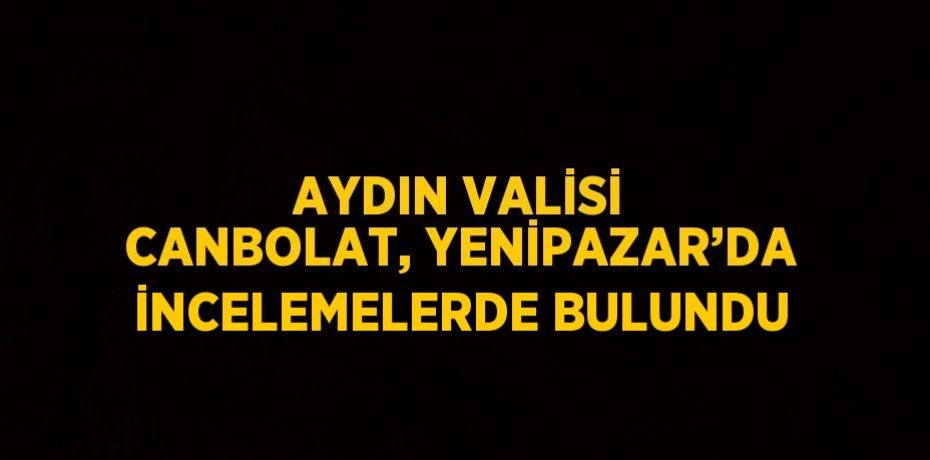 AYDIN VALİSİ CANBOLAT, YENİPAZAR’DA İNCELEMELERDE BULUNDU