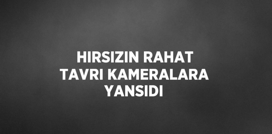 HIRSIZIN RAHAT TAVRI KAMERALARA YANSIDI