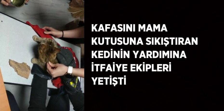 KAFASINI MAMA KUTUSUNA SIKIŞTIRAN KEDİNİN YARDIMINA İTFAİYE EKİPLERİ YETİŞTİ