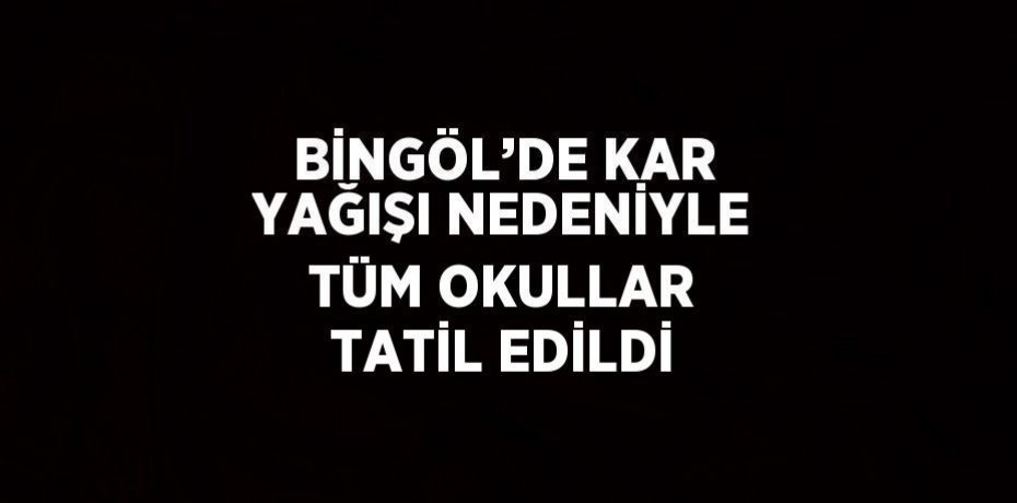 BİNGÖL’DE KAR YAĞIŞI NEDENİYLE TÜM OKULLAR TATİL EDİLDİ