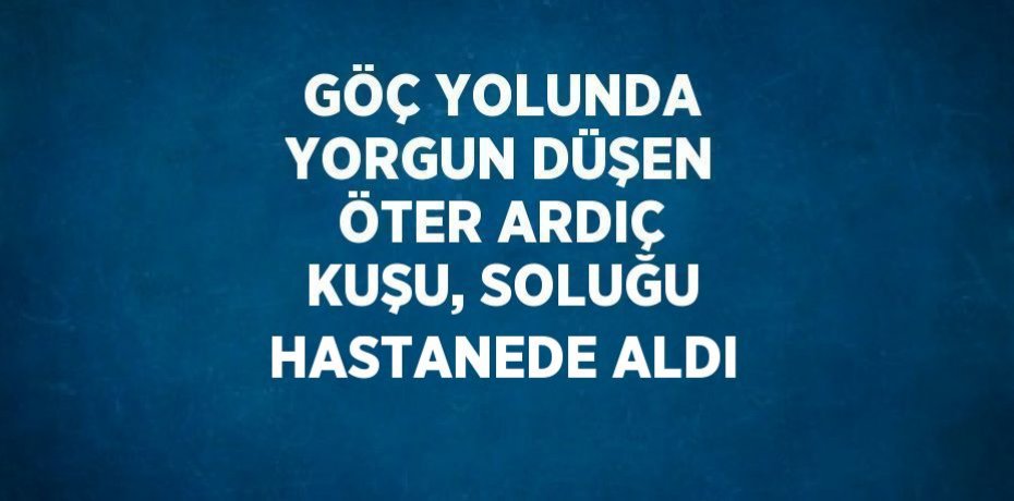 GÖÇ YOLUNDA YORGUN DÜŞEN ÖTER ARDIÇ KUŞU, SOLUĞU HASTANEDE ALDI
