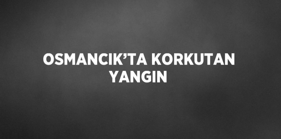 OSMANCIK’TA KORKUTAN YANGIN